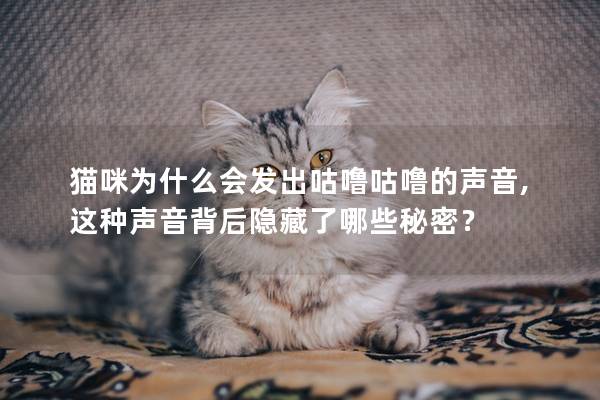 猫咪为什么会发出咕噜咕噜的声音,这种声音背后隐藏了哪些秘密？