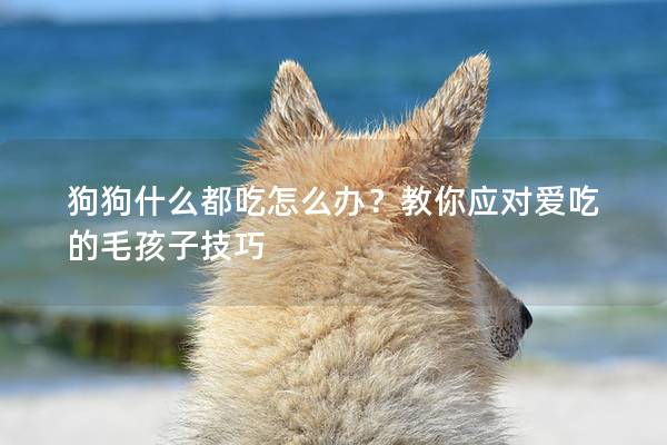 狗狗什么都吃怎么办?教你应对爱吃的毛孩子技巧