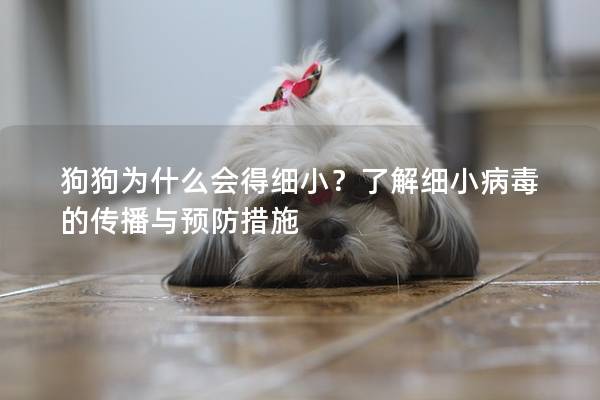 狗狗为什么会得细小？了解细小病毒的传播与预防措施