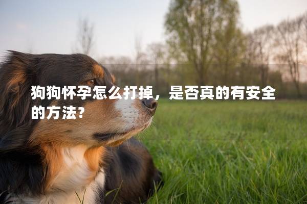 狗狗怀孕怎么打掉，是否真的有安全的方法？