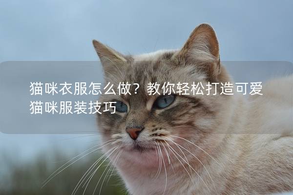 猫咪衣服怎么做？教你轻松打造可爱猫咪服装技巧