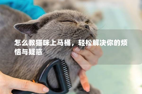 怎么教猫咪上马桶，轻松解决你的烦恼与疑惑