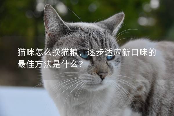 猫咪怎么换猫粮，逐步适应新口味的最佳方法是什么？