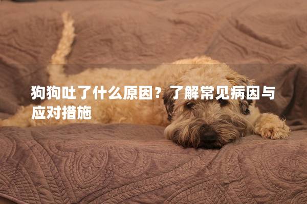 狗狗吐了什么原因？了解常见病因与应对措施