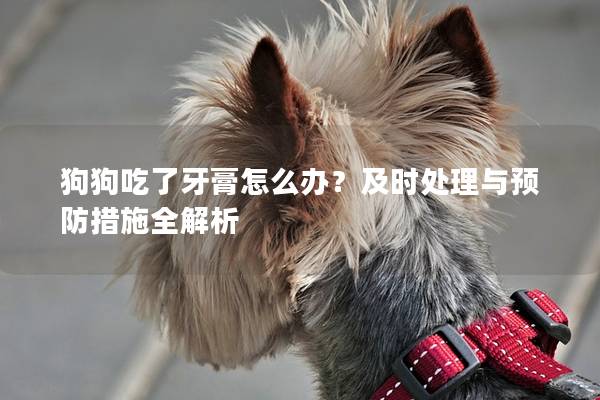 狗狗吃了牙膏怎么办？及时处理与预防措施全解析