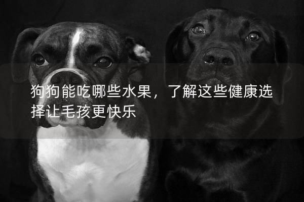 狗狗能吃哪些水果，了解这些健康选择让毛孩更快乐