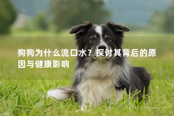 狗狗为什么流口水？探讨其背后的原因与健康影响