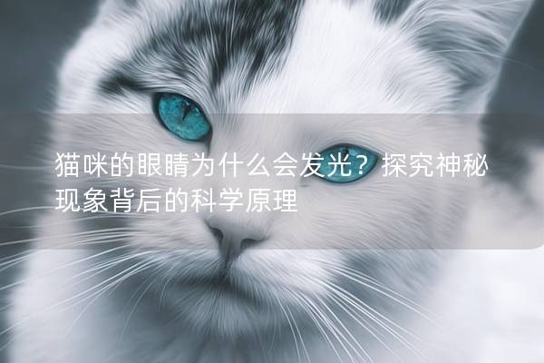 猫咪的眼睛为什么会发光？探究神秘现象背后的科学原理