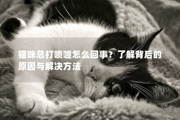 猫咪总打喷嚏怎么回事？了解背后的原因与解决方法