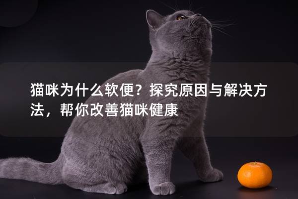 猫咪为什么软便？探究原因与解决方法，帮你改善猫咪健康