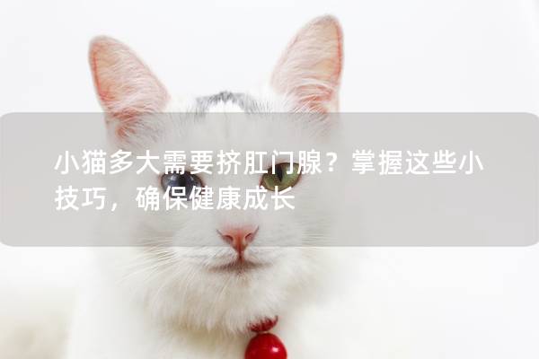 小猫多大需要挤肛门腺？掌握这些小技巧，确保健康成长