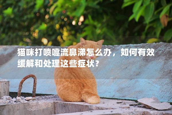 猫咪打喷嚏流鼻涕怎么办，如何有效缓解和处理这些症状？