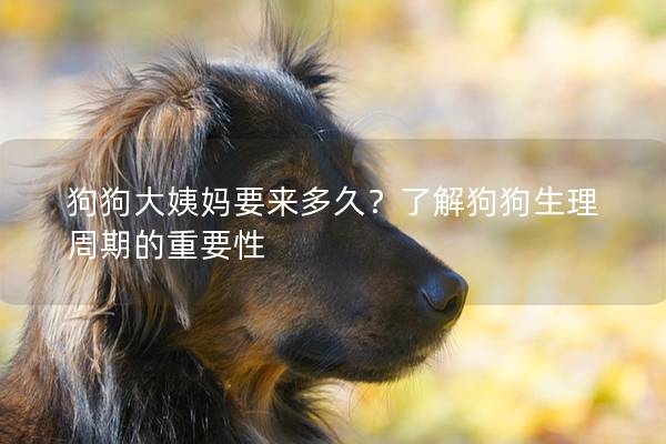 狗狗大姨妈要来多久？了解狗狗生理周期的重要性