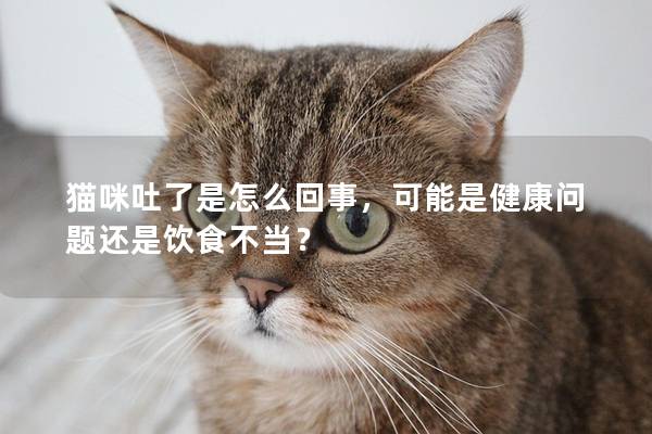 猫咪吐了是怎么回事，可能是健康问题还是饮食不当？