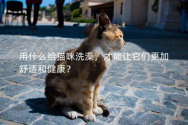 用什么给猫咪洗澡，才能让它们更加舒适和健康？