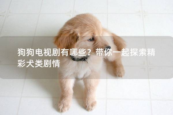 狗狗电视剧有哪些？带你一起探索精彩犬类剧情