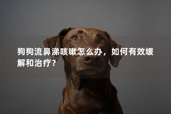 狗狗流鼻涕咳嗽怎么办，如何有效缓解和治疗？