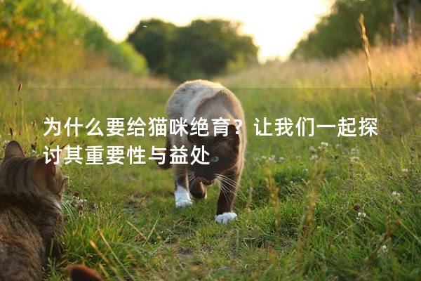 为什么要给猫咪绝育？让我们一起探讨其重要性与益处