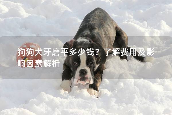 狗狗犬牙磨平多少钱？了解费用及影响因素解析