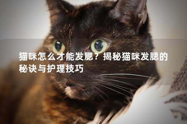 猫咪怎么才能发腮？揭秘猫咪发腮的秘诀与护理技巧