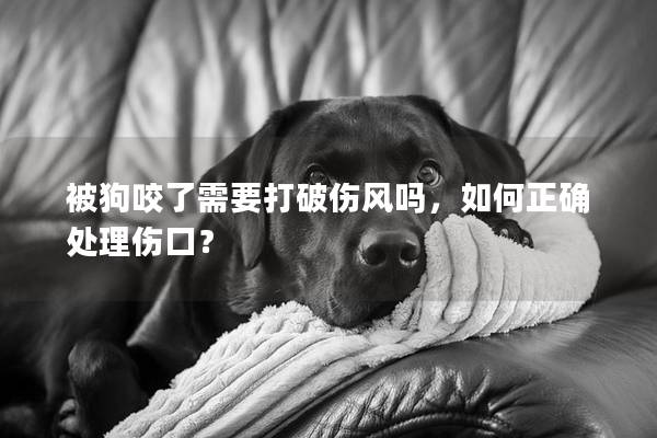 被狗咬了需要打破伤风吗，如何正确处理伤口？