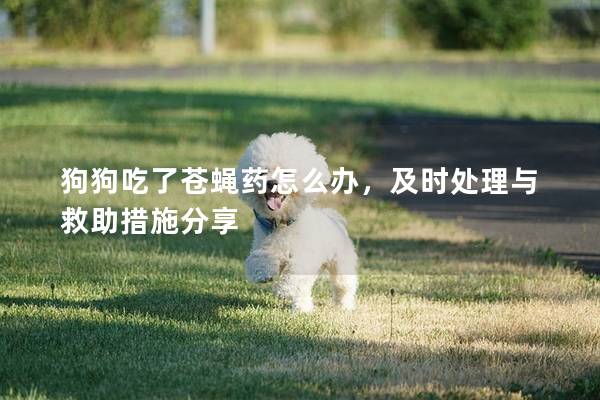 狗狗吃了苍蝇药怎么办，及时处理与救助措施分享