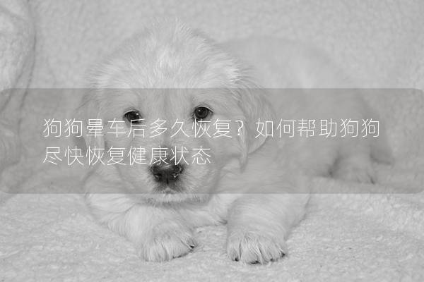 狗狗晕车后多久恢复？如何帮助狗狗尽快恢复健康状态