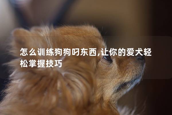 怎么训练狗狗叼东西,让你的爱犬轻松掌握技巧