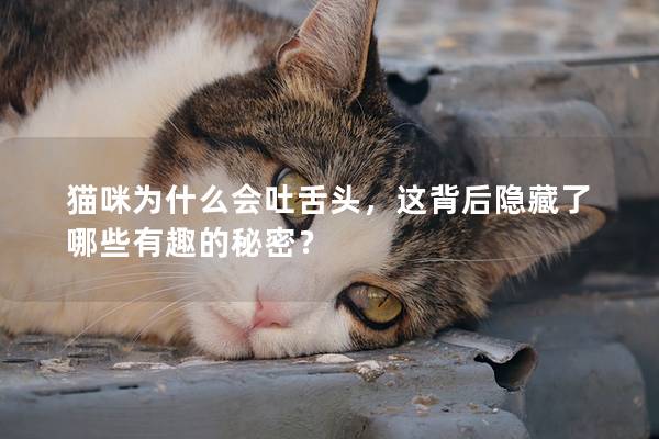 猫咪为什么会吐舌头，这背后隐藏了哪些有趣的秘密？