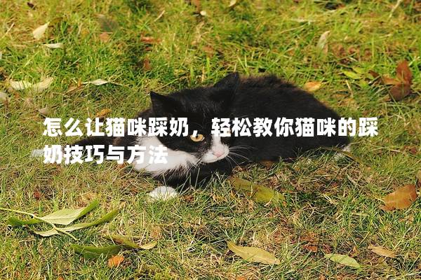 怎么让猫咪踩奶，轻松教你猫咪的踩奶技巧与方法