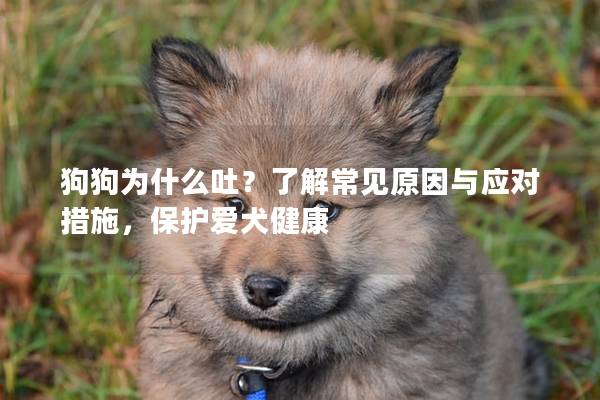 狗狗为什么吐？了解常见原因与应对措施，保护爱犬健康