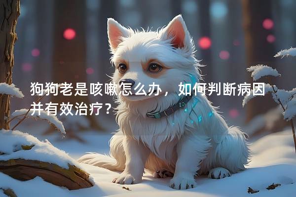 狗狗老是咳嗽怎么办，如何判断病因并有效治疗？