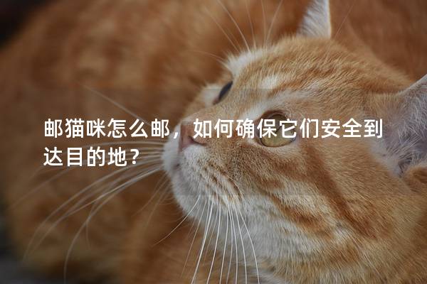 邮猫咪怎么邮，如何确保它们安全到达目的地？