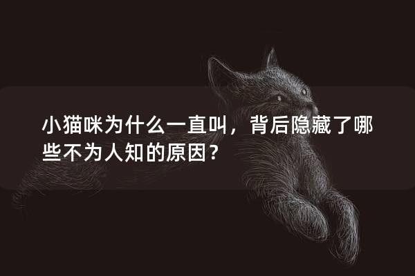 小猫咪为什么一直叫，背后隐藏了哪些不为人知的原因？