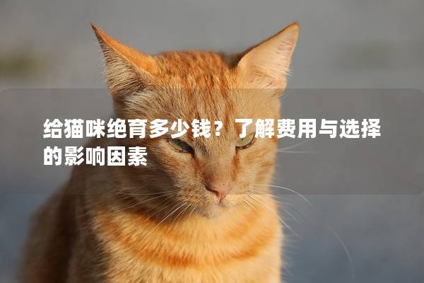 给猫咪绝育多少钱？了解费用与选择的影响因素