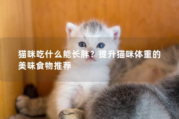 猫咪吃什么能长胖？提升猫咪体重的美味食物推荐