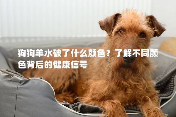 狗狗羊水破了什么颜色？了解不同颜色背后的健康信号