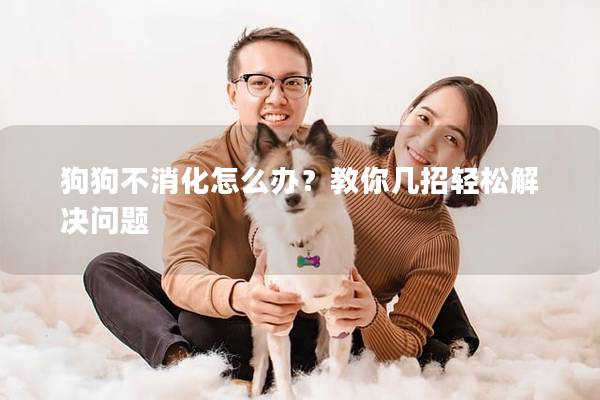 狗狗不消化怎么办？教你几招轻松解决问题