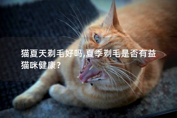 猫夏天剃毛好吗,夏季剃毛是否有益猫咪健康？