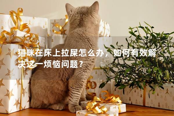 猫咪在床上拉屎怎么办，如何有效解决这一烦恼问题？