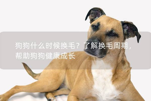 狗狗什么时候换毛？了解换毛周期，帮助狗狗健康成长