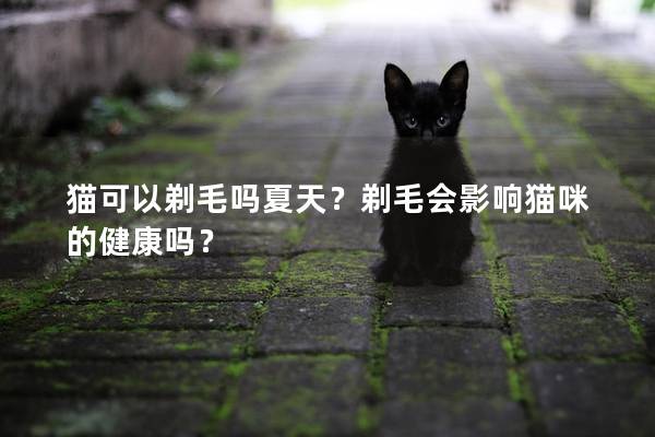 猫可以剃毛吗夏天？剃毛会影响猫咪的健康吗？