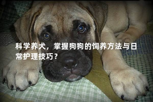 科学养犬，掌握狗狗的饲养方法与日常护理技巧？