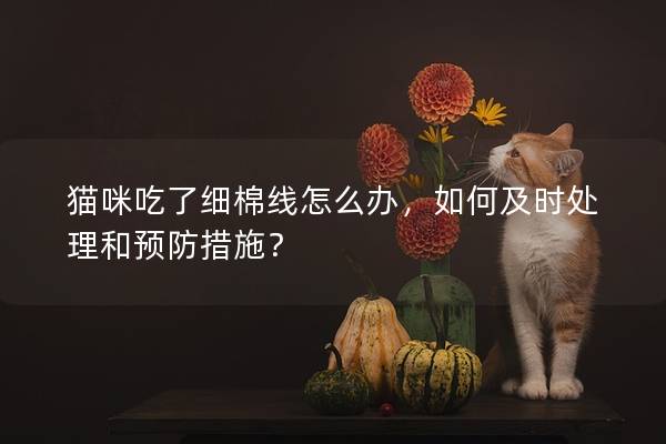 猫咪吃了细棉线怎么办，如何及时处理和预防措施？