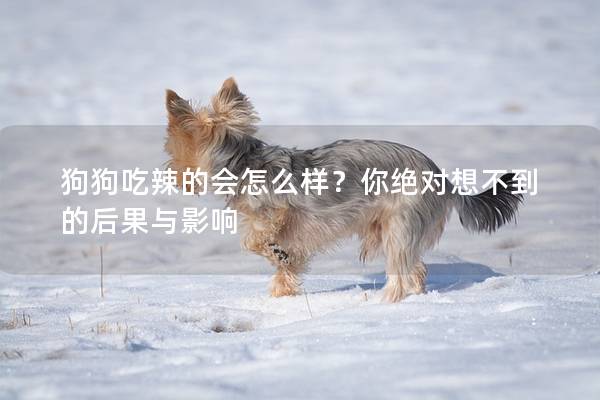 狗狗吃辣的会怎么样？你绝对想不到的后果与影响