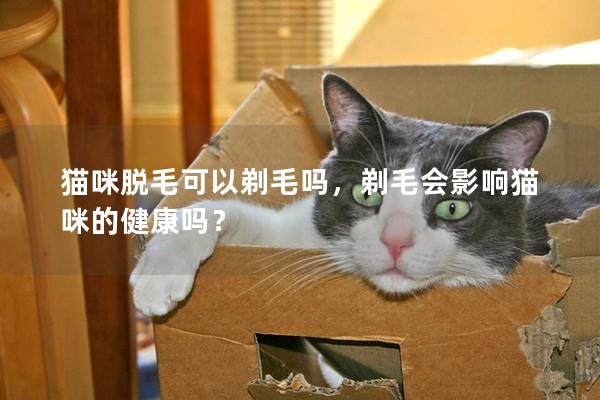 猫咪脱毛可以剃毛吗，剃毛会影响猫咪的健康吗？