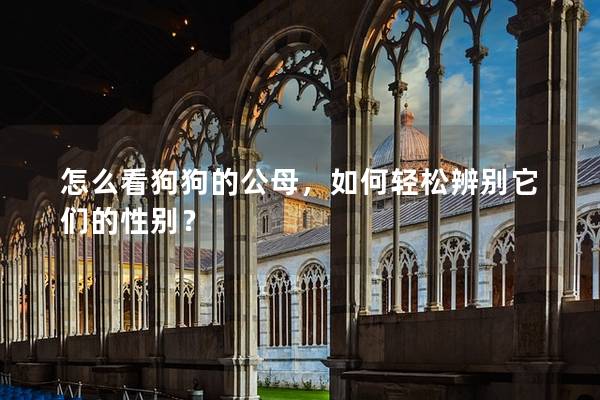 怎么看狗狗的公母,如何轻松辨别它们的性别?