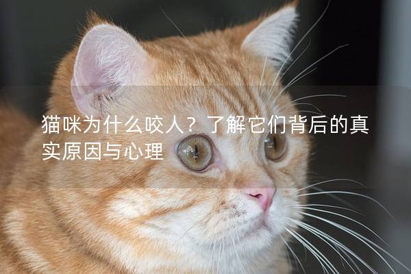 猫咪为什么咬人？了解它们背后的真实原因与心理