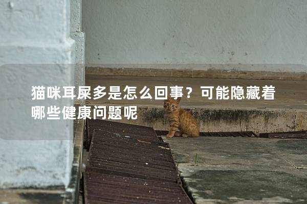 猫咪耳屎多是怎么回事？可能隐藏着哪些健康问题呢