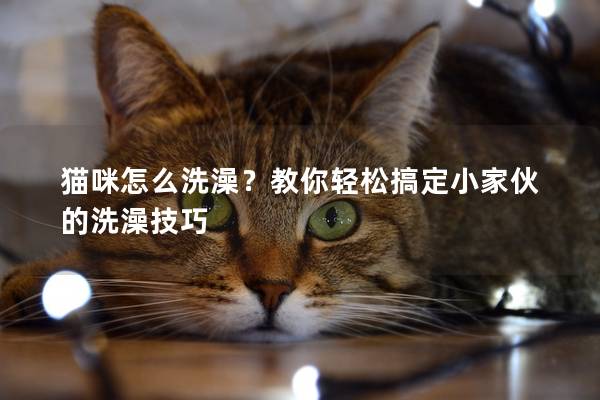 猫咪怎么洗澡？教你轻松搞定小家伙的洗澡技巧